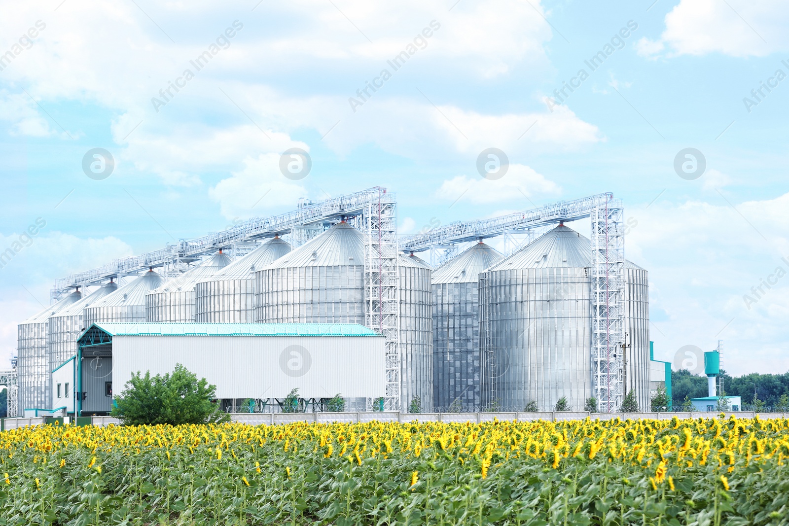 Photo of Row of modern granaries for storing cereal grains in field