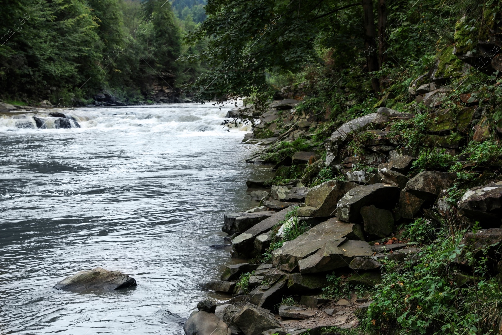 Photo of Wild mountain river flowing along rocky banks in forest