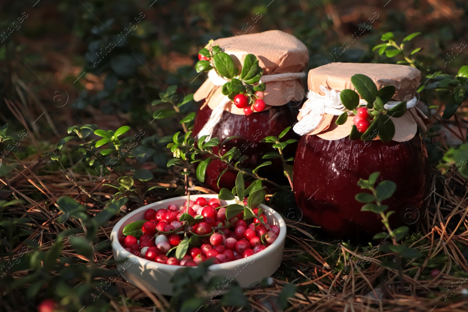 Photo of Jars of delicious lingonberry jam and red berries outdoors