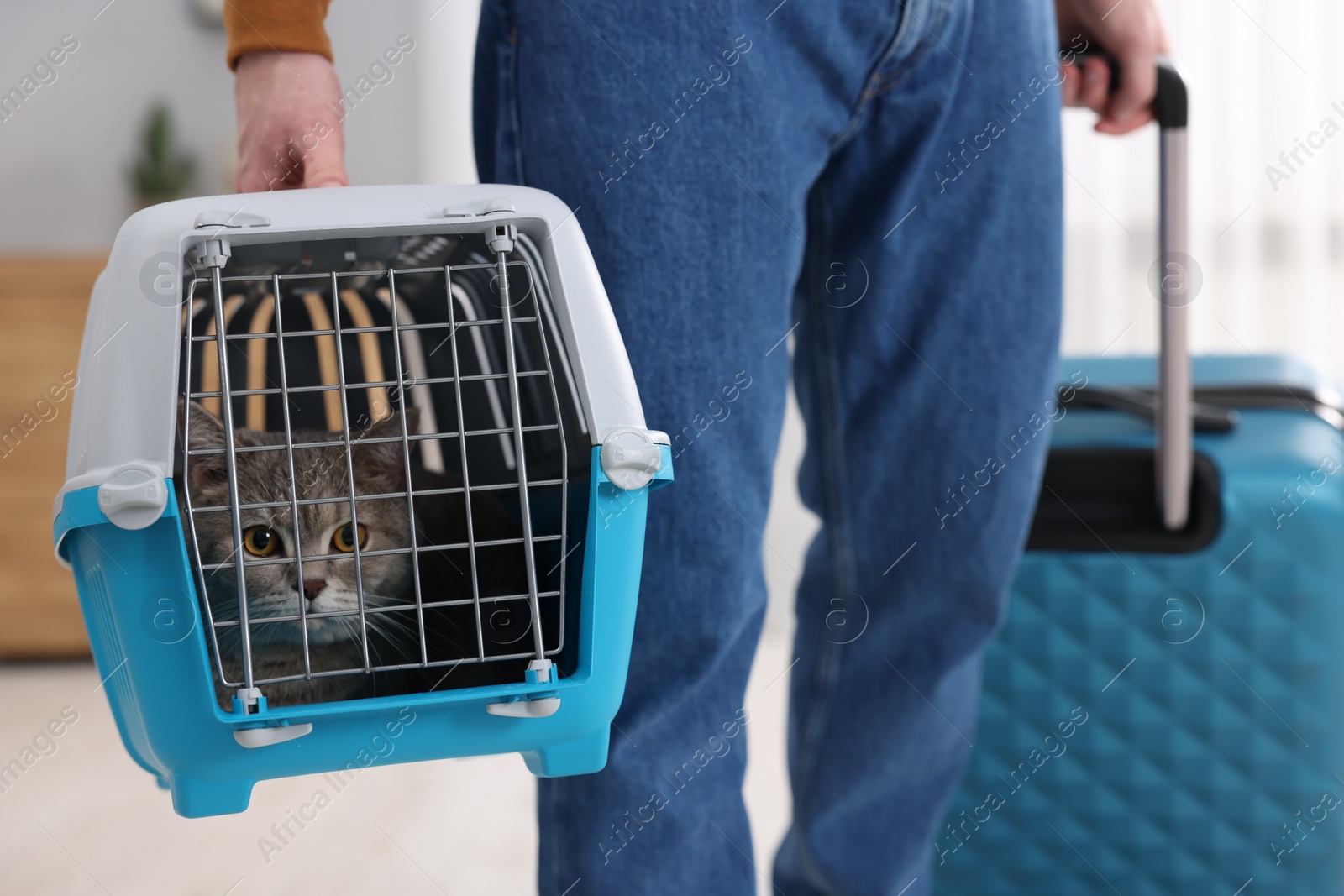 Photo of Travel with pet. Man holding carrier with cute cat and suitcase at home, closeup