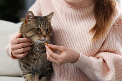 Photo of Woman giving pill to cute cat indoors, closeup. Vitamins for animal
