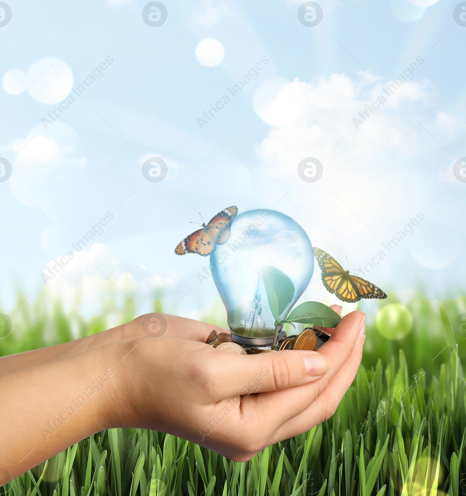 Image of Solar energy concept. Woman holding glowing light bulb with seedling and coins near green grass under blue sky, closeup