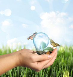 Image of Solar energy concept. Woman holding glowing light bulb with seedling and coins near green grass under blue sky, closeup