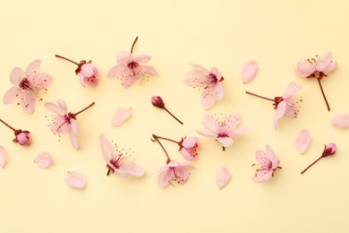 Photo of Beautiful spring tree blossoms and petals on yellow background, flat lay