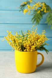 Bouquet of beautiful mimosa flowers on grey table