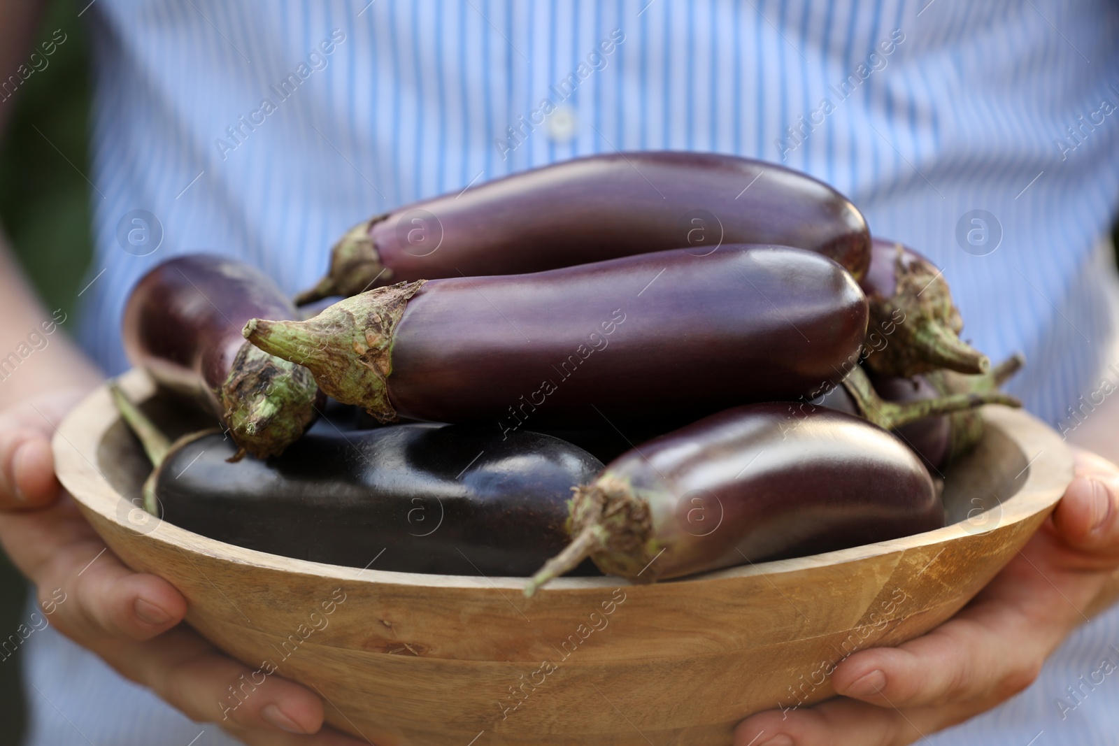 Photo of Man holding wooden bowl with ripe eggplants, closeup