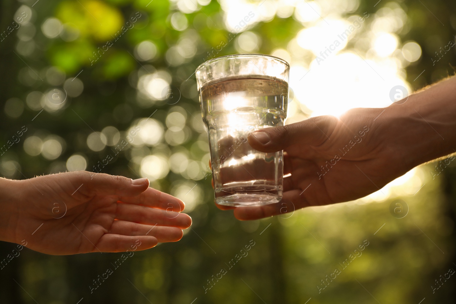 Photo of Man giving woman glass of fresh water in forest on sunny day, closeup