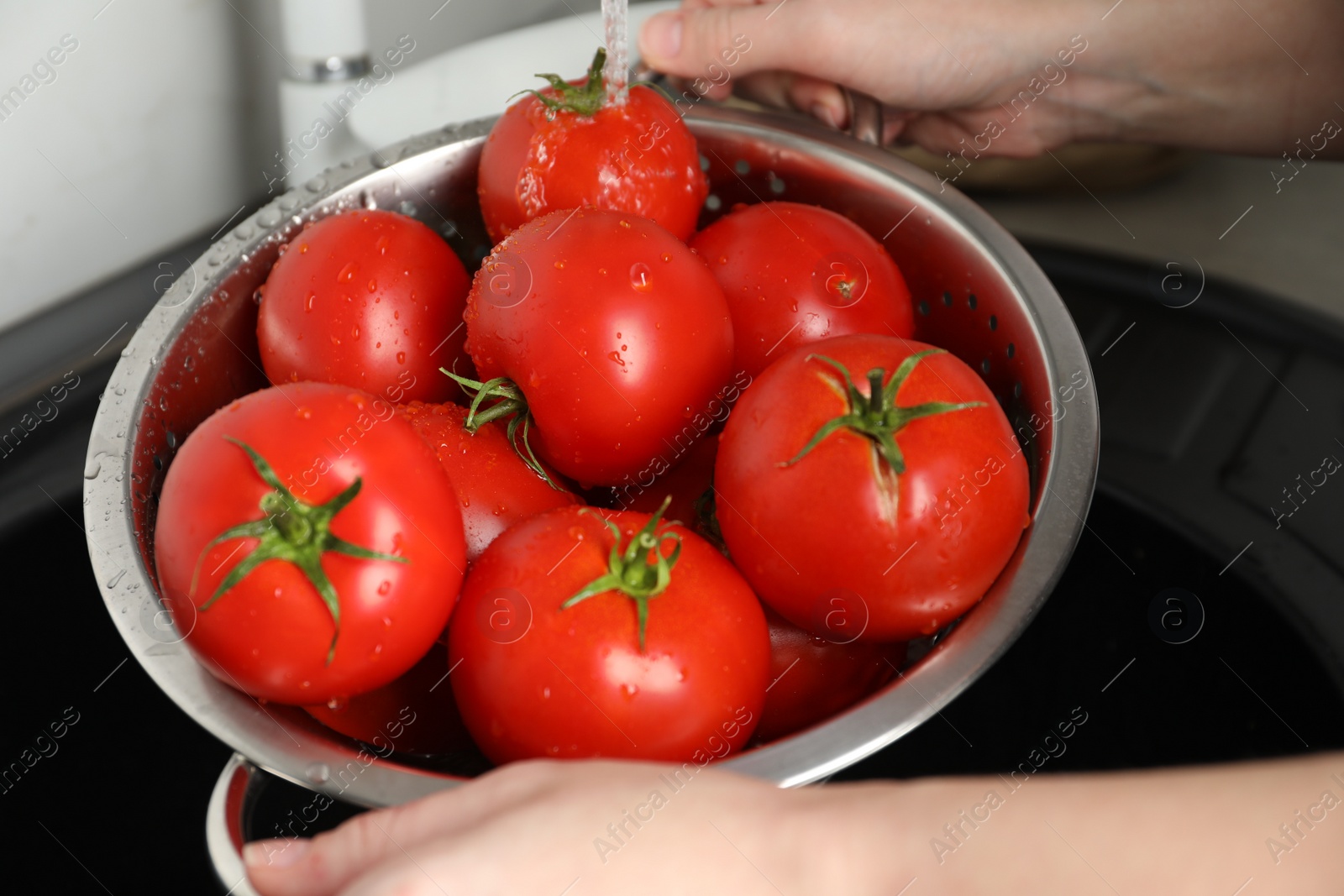 Photo of Woman washing ripe tomatoes in sink, closeup