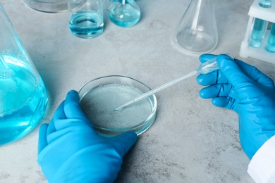 Photo of Scientist working with Petri dish and pipette at table, closeup. Solution chemistry