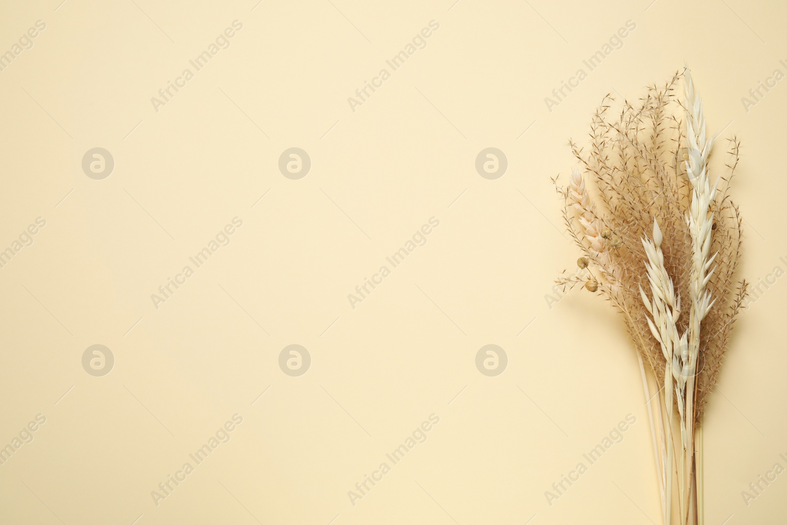 Photo of Bouquet of dried flowers on beige background, flat lay. Space for text