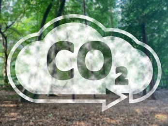 Concept of clear air. CO2 inscription in illustration of cloud with arrow and beautiful forest