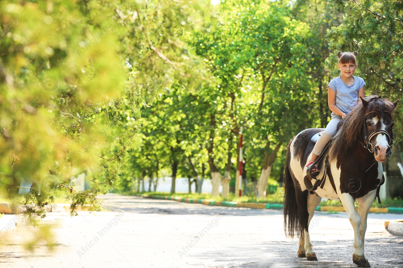 Photo of Cute little girl riding pony in green park