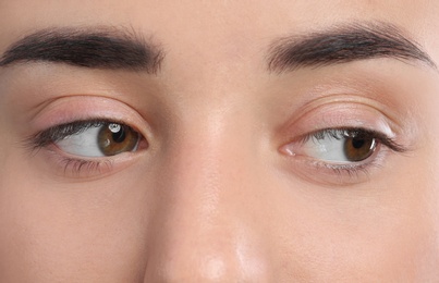 Photo of Young woman with beautiful natural eyelashes, closeup view