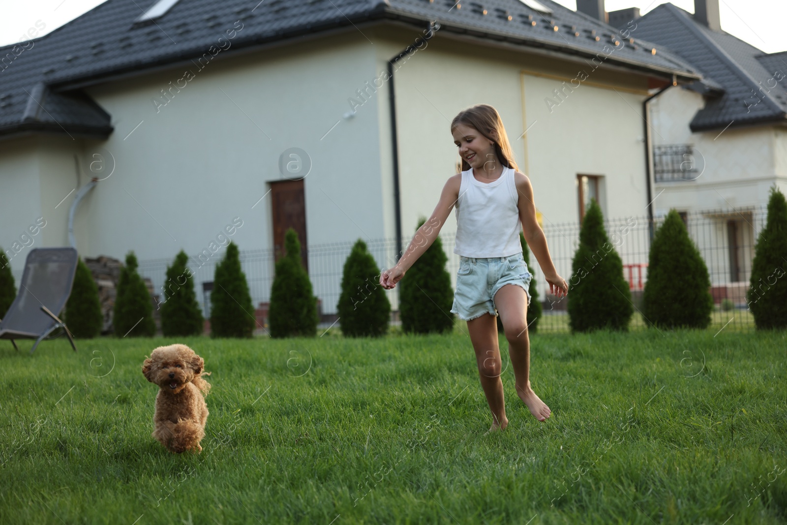 Photo of Beautiful girl walking with cute Maltipoo dog on green lawn in backyard