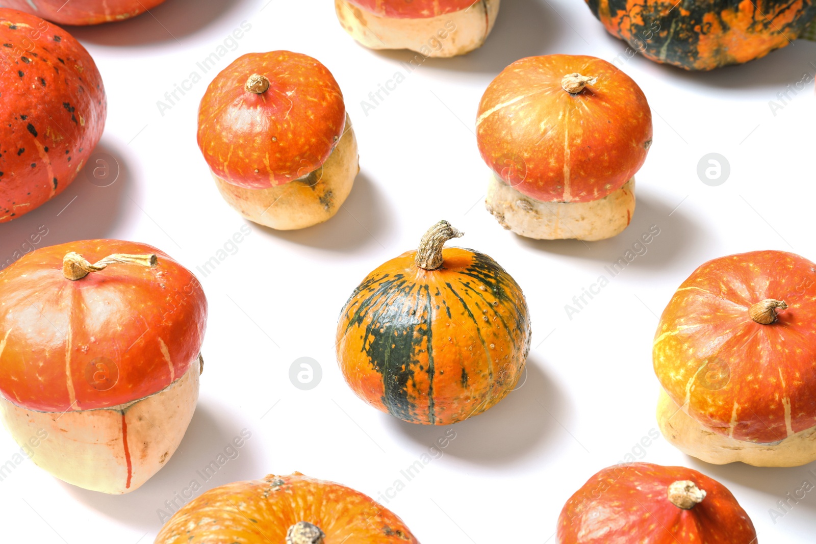 Photo of Different pumpkins on white background. Autumn holidays