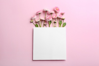 Flat lay composition with blooming daisies and space for text on white background. Spring flowers