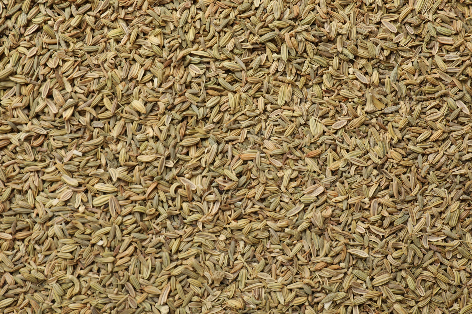 Photo of Many fennel seeds as background, top view