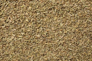 Photo of Many fennel seeds as background, top view