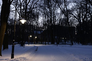 Photo of Trees, street lamps and pathway covered with snow in evening park