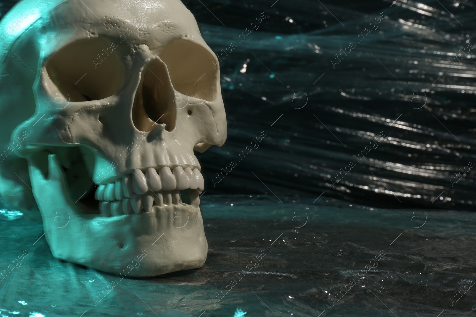 Photo of Human skull with stretch film on stone surface against black background. Space for text