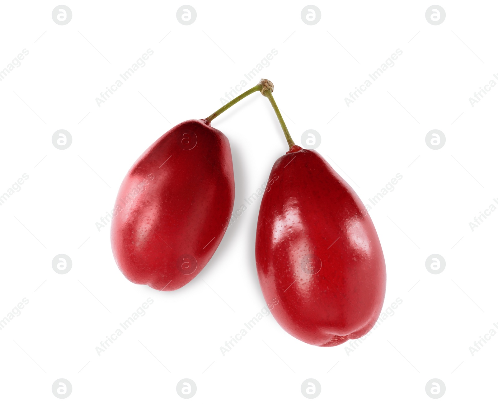 Photo of Fresh ripe dogwood berries on white background, top view