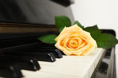 Beautiful yellow rose on piano keys, closeup. Space for text