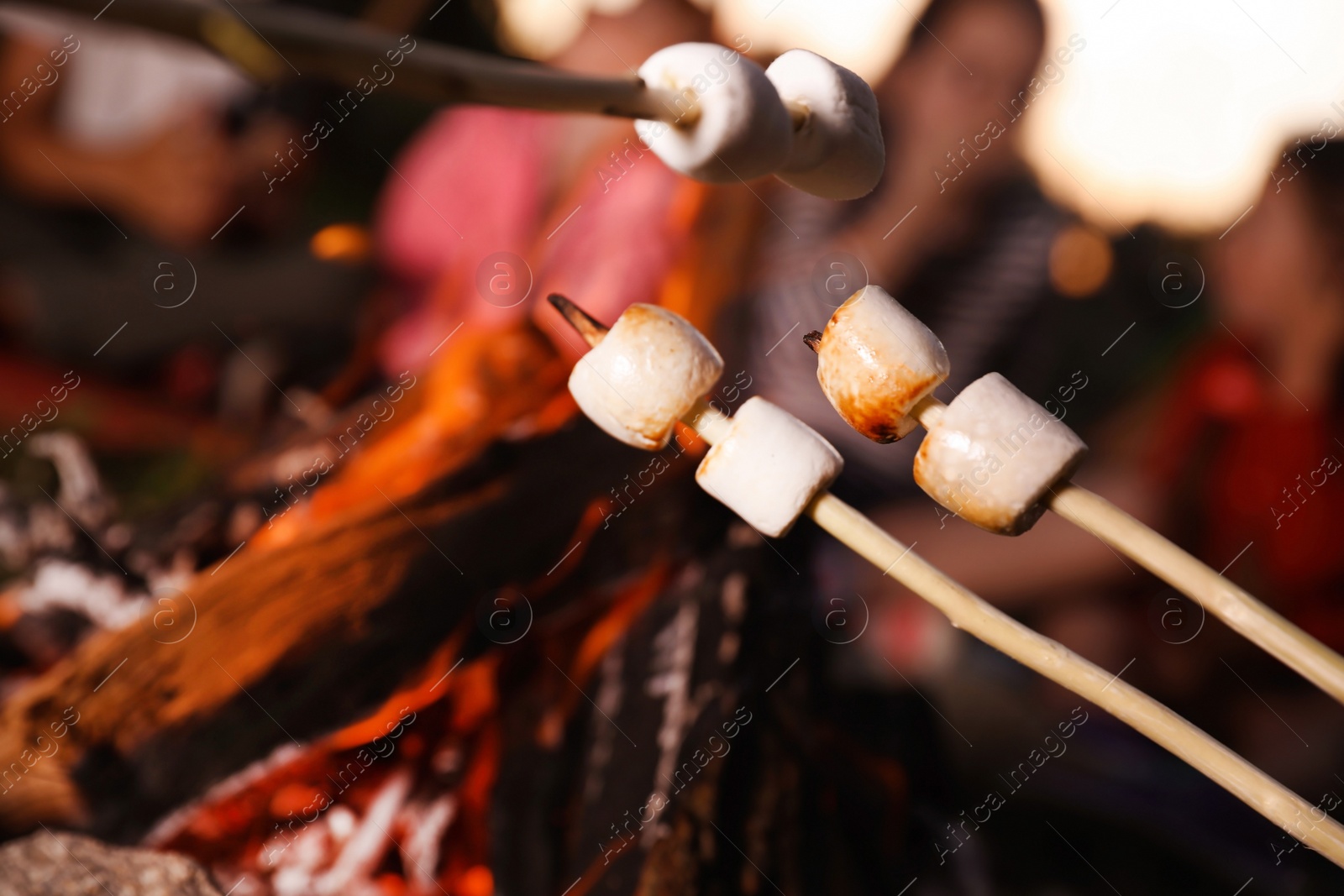 Photo of Fried marshmallows on sticks against blurred background, closeup. Summer camp