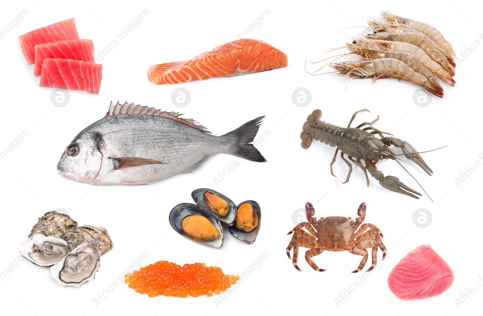 Image of Dorado fish and other seafood isolated on white, set