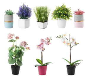 Set of artificial plants in flower pots isolated on white