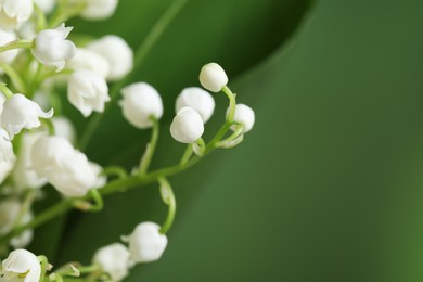 Beautiful lily of the valley flowers on blurred green background, closeup. Space for text