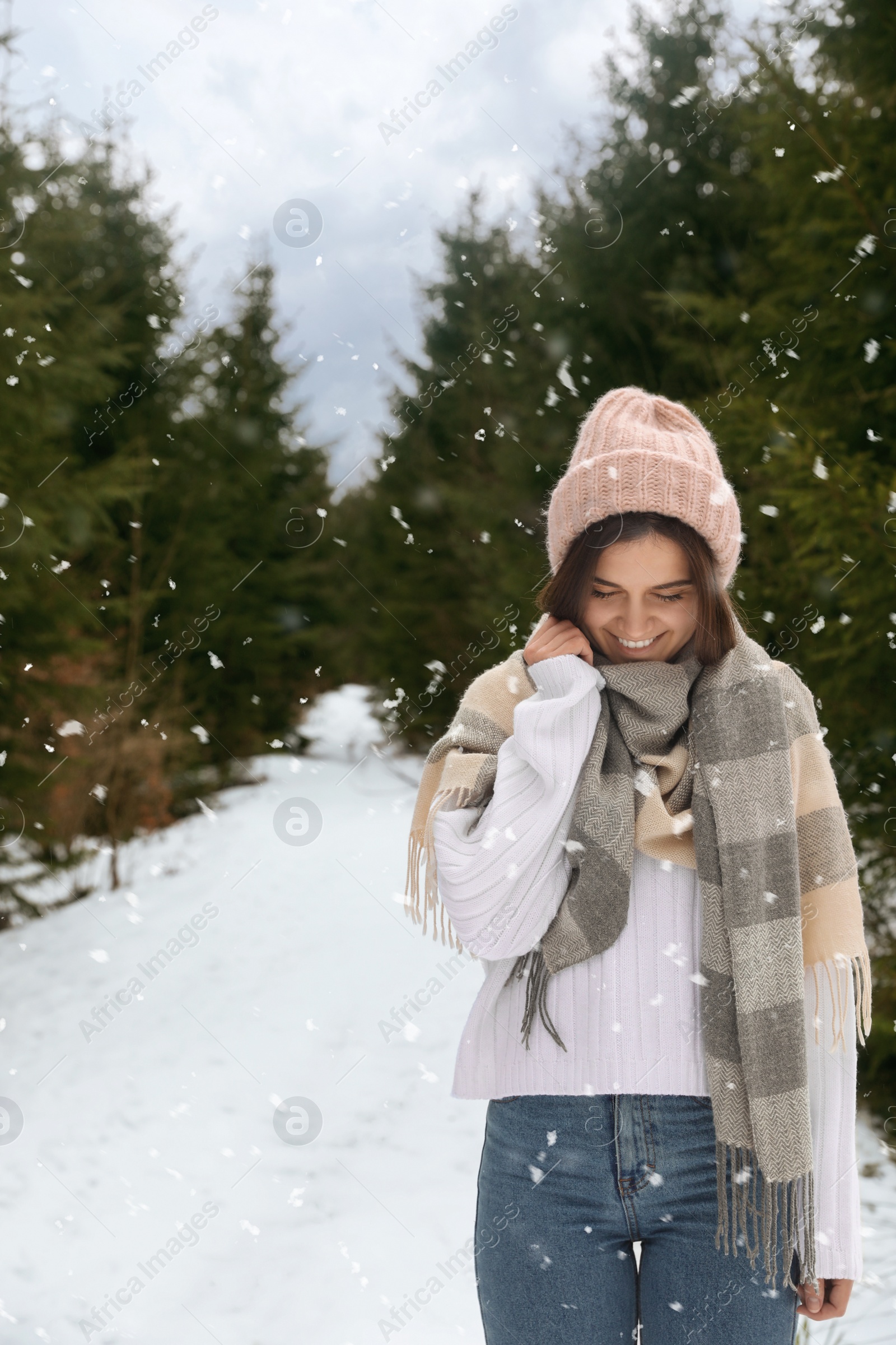 Photo of Young woman in snowy conifer forest. Winter vacation