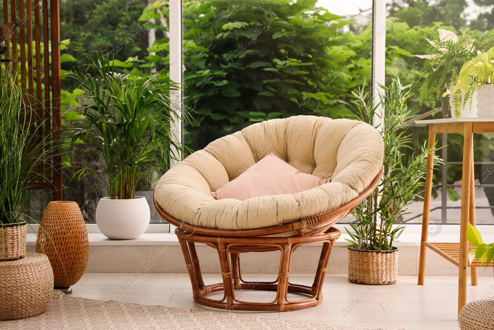 Photo of Indoor terrace interior with soft papasan chair and green plants