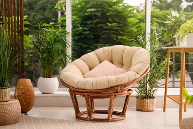 Indoor terrace interior with soft papasan chair and green plants