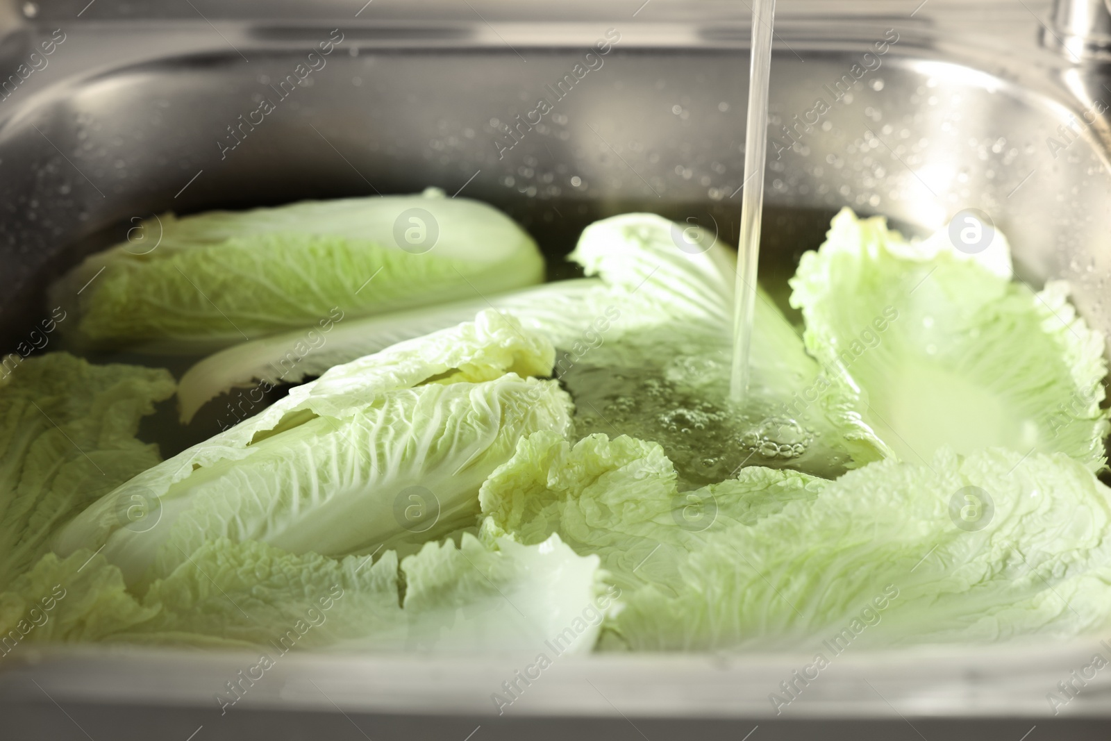 Photo of Pouring tap water on Chinese cabbage leaves in sink, closeup