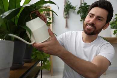 Man watering beautiful potted houseplants at home