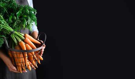 Photo of Woman holding basket with ripe carrots on black background, closeup