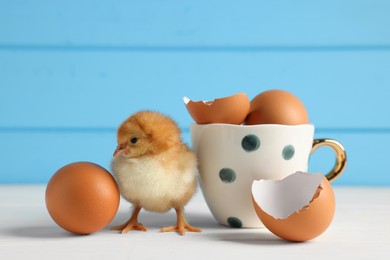 Cute chick with cup, eggs and pieces of shell on white wooden table, closeup. Baby animal