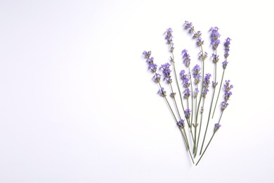 Beautiful aromatic lavender flowers on white background, flat lay. Space for text