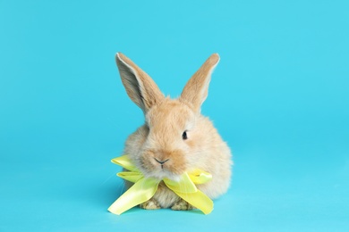 Adorable furry Easter bunny with cute bow tie on color background