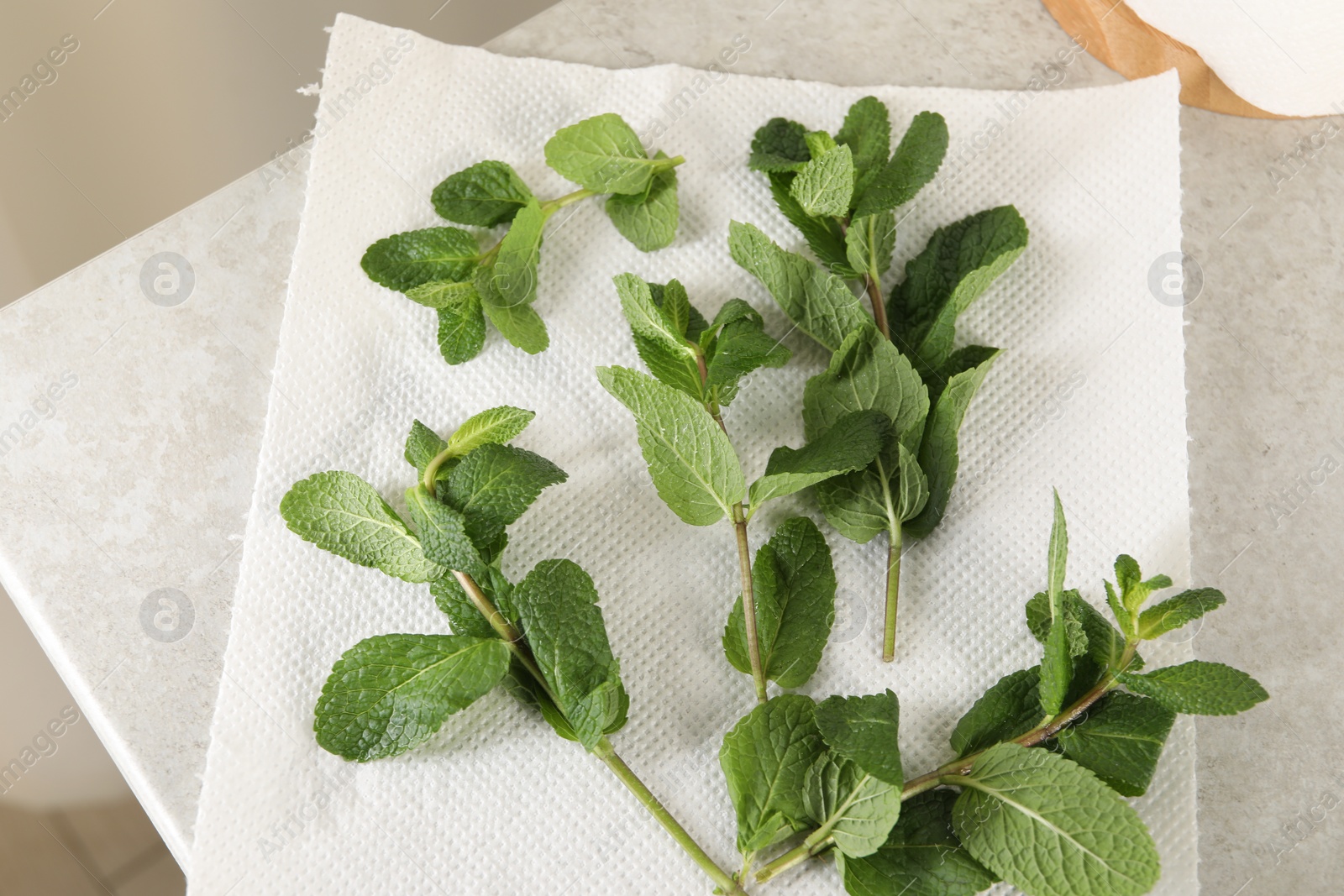 Photo of Mint drying on paper towel on light table, above view