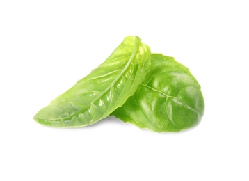 Photo of Fresh green basil leaves on white background