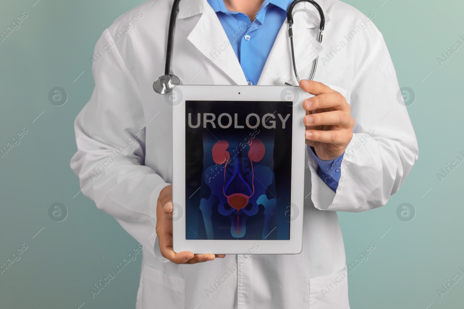 Photo of Male doctor holding tablet with urinary system on screen against color background