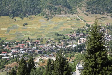 Picturesque view of beautiful trees and houses