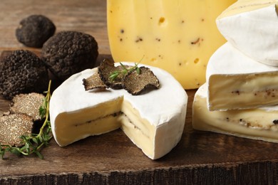 Photo of Different types of cheese and truffles on wooden board, closeup