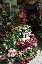 Photo of Assortment of beautiful flowers near store entrance outdoors on sunny day