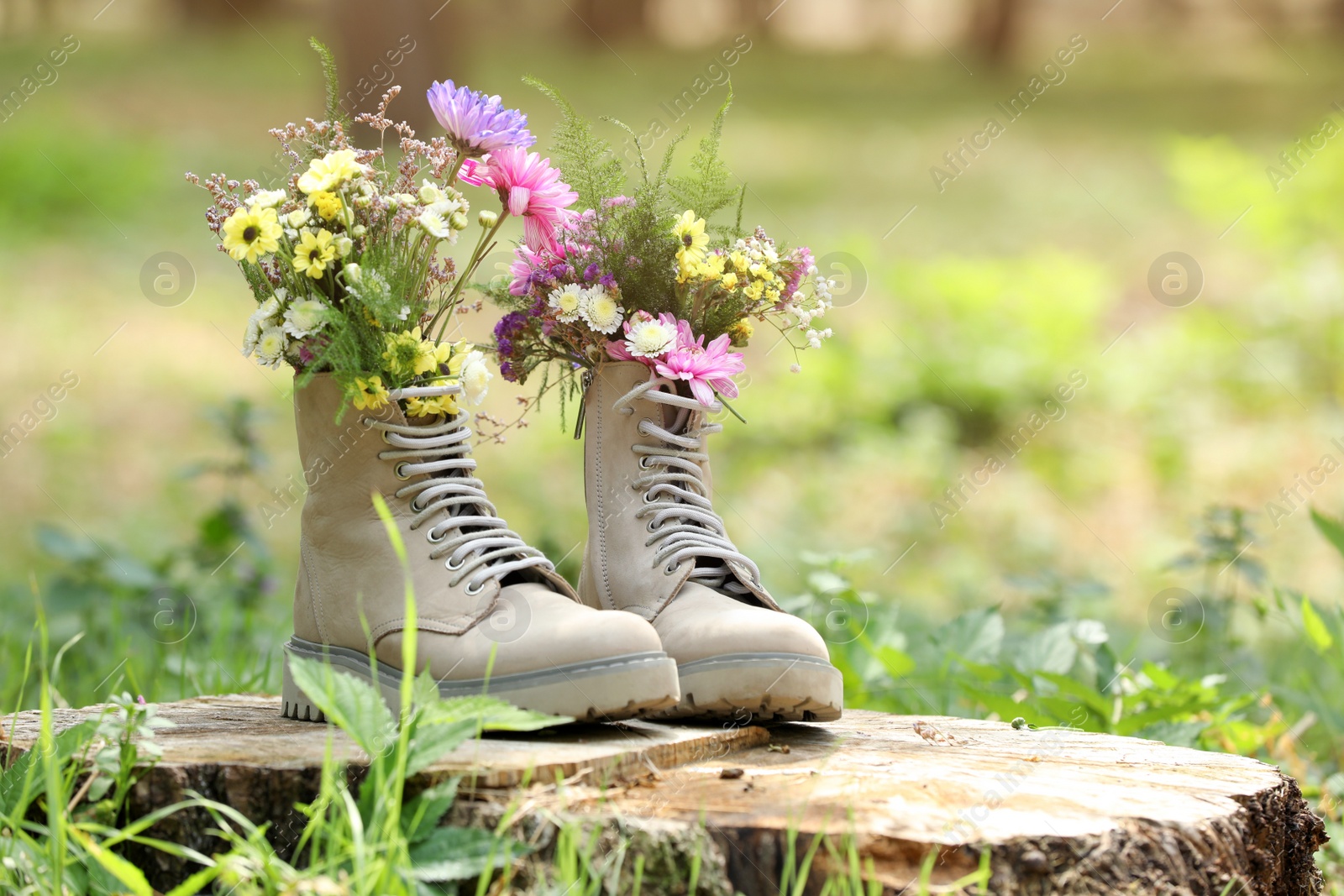 Photo of Beautiful flowers in boots on stump outdoors, space for text