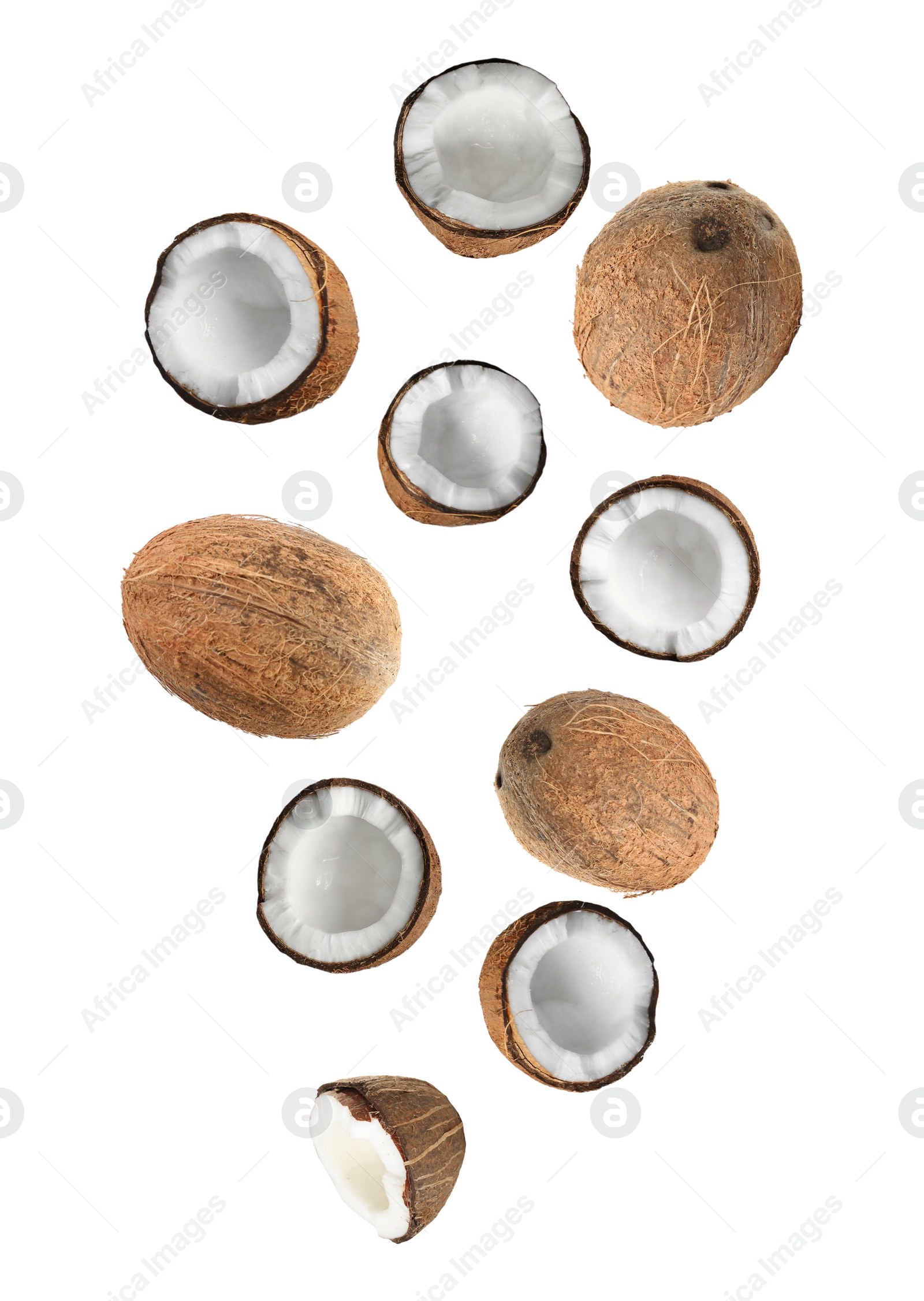 Image of Set with ripe coconuts on white background