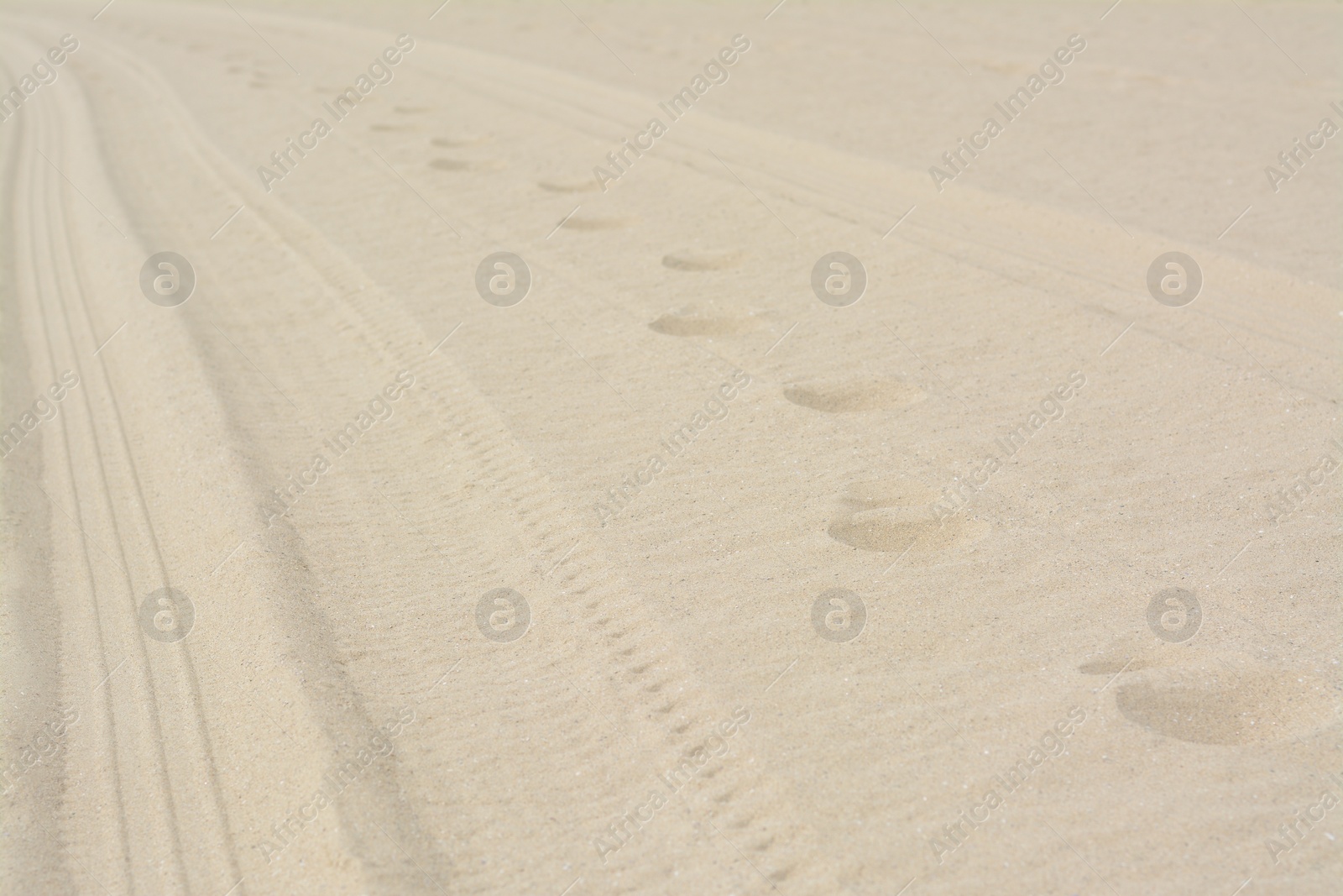 Photo of Dry beach sand with track of car as background, closeup