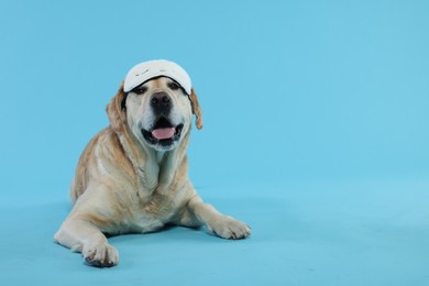 Photo of Cute Labrador Retriever with sleep mask resting on light blue background, space for text