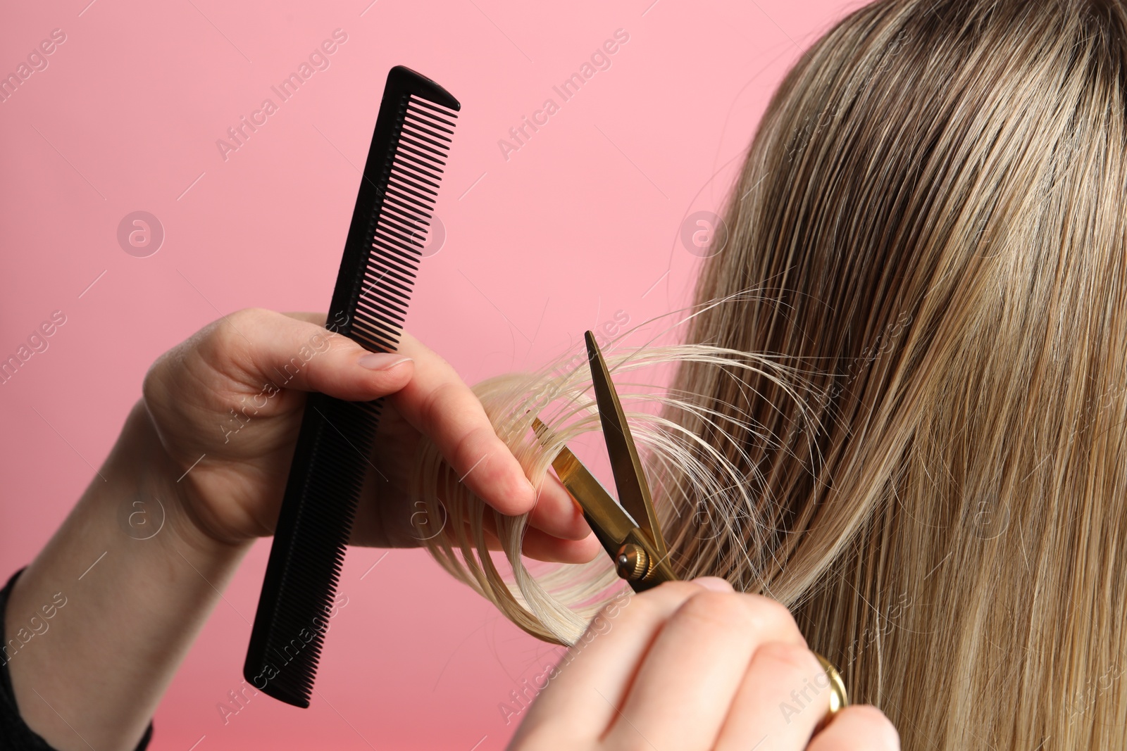 Photo of Hairdresser cutting client's hair with scissors on pink background, closeup